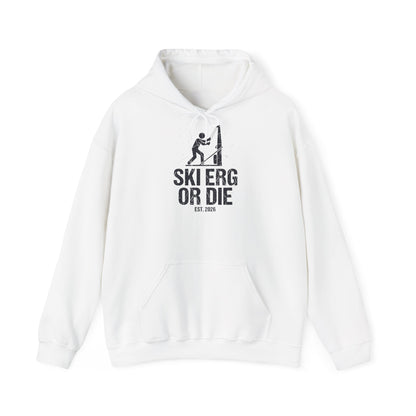 Hoodie Ski Erg Or Die — back view | hybriddept