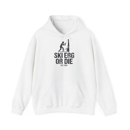 Hoodie Ski Erg Or Die — back view | hybriddept