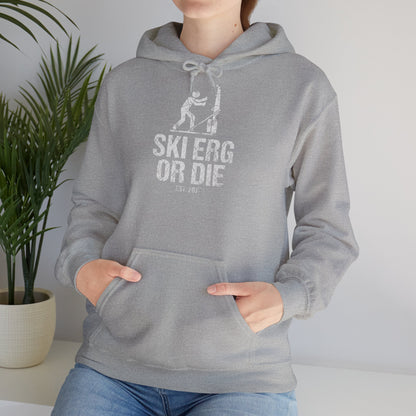 Hoodie Ski Erg Or Die — photo produit | HybridDept