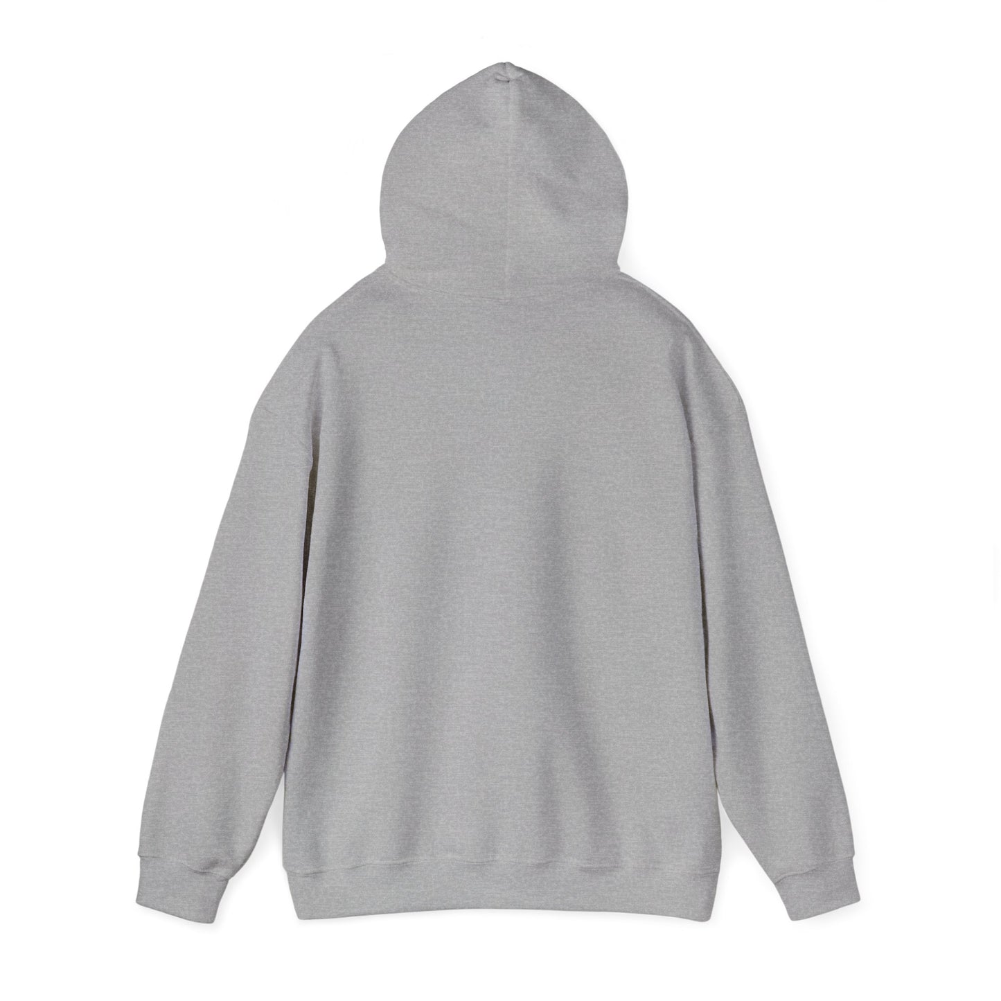 Hoodie Run Lift Repeat — photo produit | HybridDept