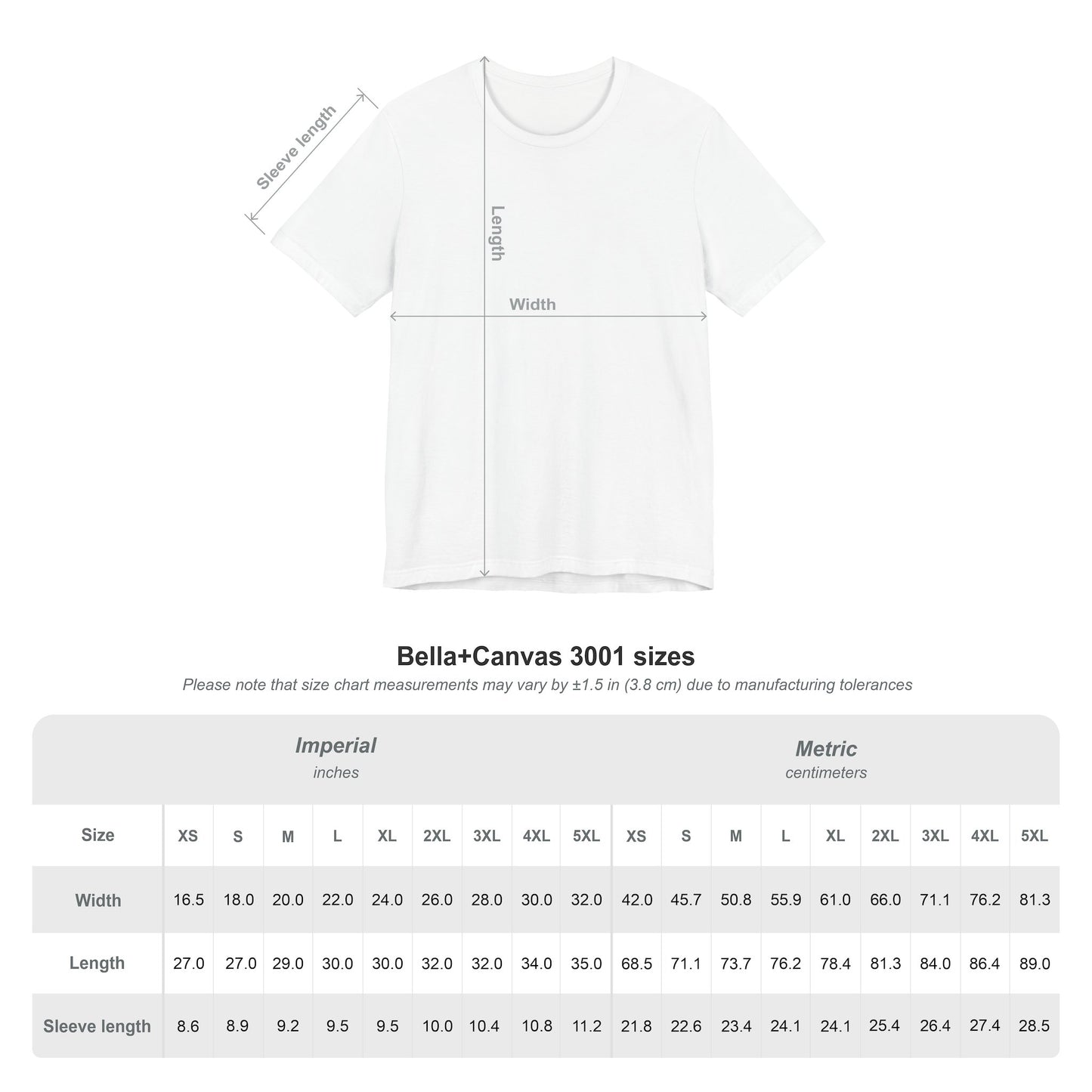 Tee Wall Balls Survivor — photo produit | HybridDept